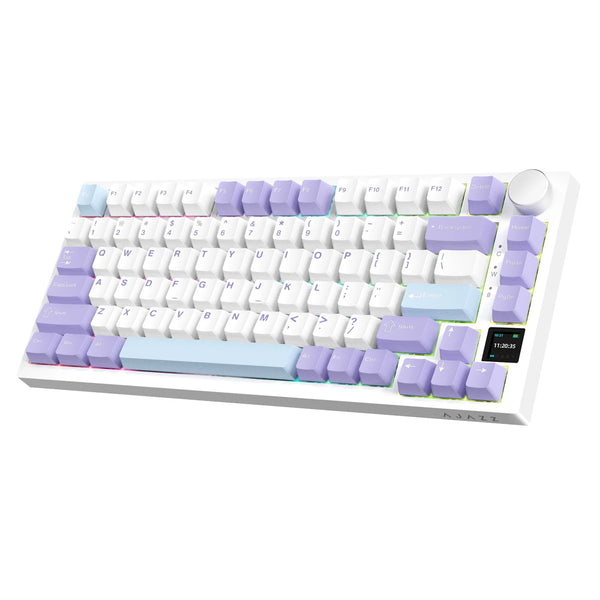 AK820 Pro Mechanical Keyboard
